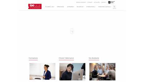 IAE Lille 1