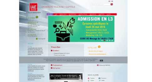 IAE Toulouse