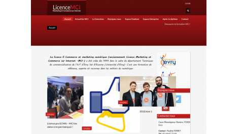 Licence Mci – Marketing et Commerce Sur Internet