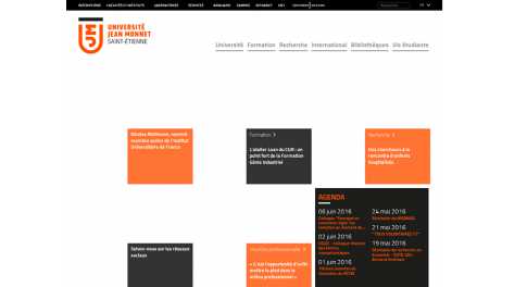 Université de Saint Etienne