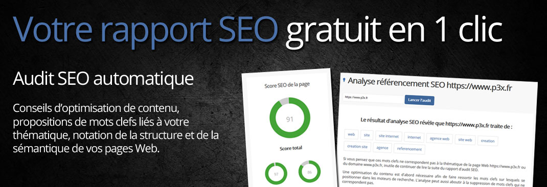 Présentation SEOdit analyse SEO