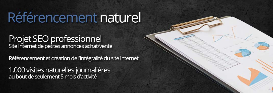 Référencement naturel