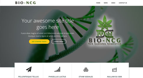 Site Internet BIO NCG